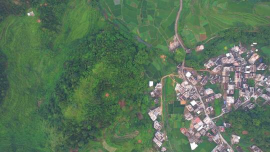 乡村农村田野稻田航拍道路山路楼房