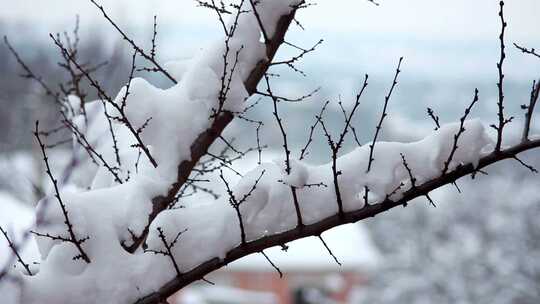 冬天唯美下雪场景