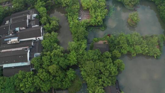 杭州西溪湿地初夏晨雾美景航拍视频素材模板下载