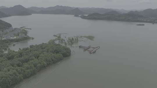 青山湖水上森林码头