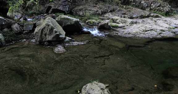 阳光溪流山涧密林原始生态风光