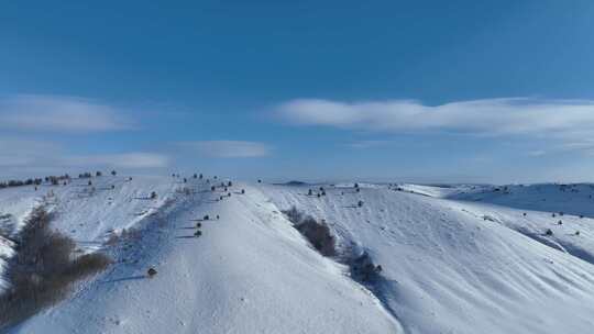 航拍呼伦贝尔山区茫茫雪原视频素材模板下载