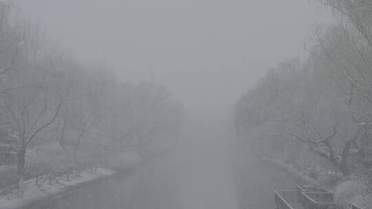 冬天雪景 下雪空镜