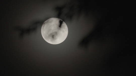 月亮意境 圆月 月光 月色