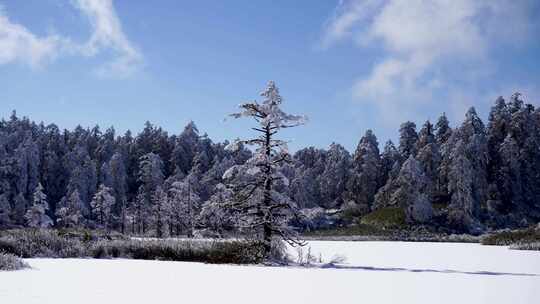 四川眉山瓦屋山景区被冰雪覆盖的湖面