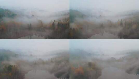 雾气朦胧的森林航拍素材高清在线视频素材下载