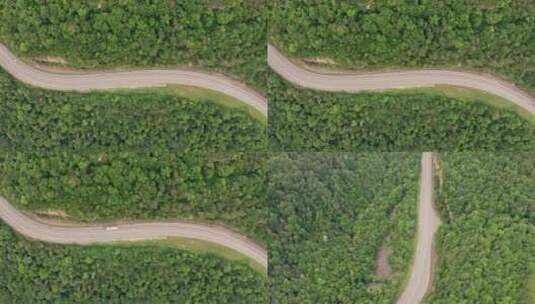 航拍森林里蜿蜒的公路高清在线视频素材下载
