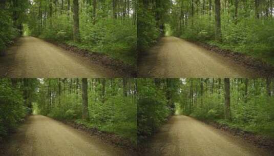 穿过森林的小路高清在线视频素材下载