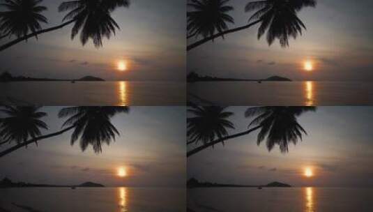 椰树海边金色日落高清在线视频素材下载
