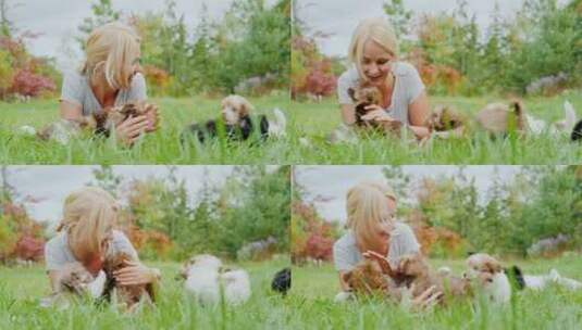 女孩和小狗在草地上玩耍高清在线视频素材下载