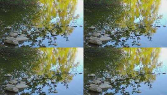 湖水上倒映的树木高清在线视频素材下载