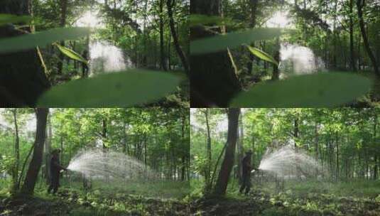 给树林浇水高清在线视频素材下载