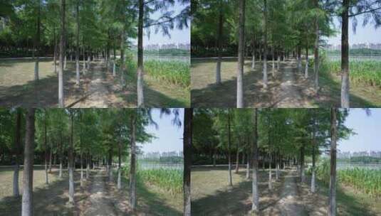 武汉南湖幸福湾水上公园高清在线视频素材下载