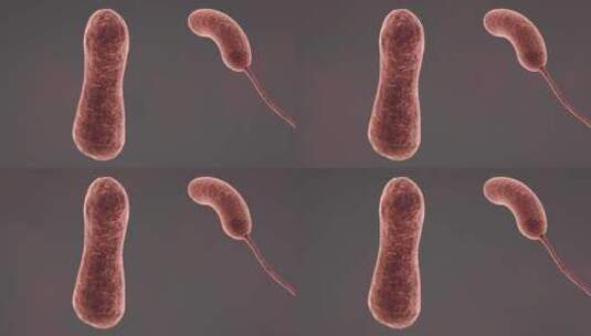 医学病原体病毒病原体病菌细菌医学三维动画高清在线视频素材下载