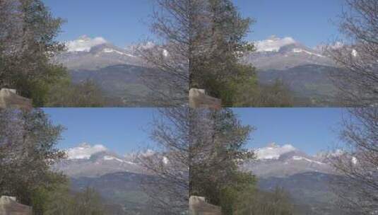 树木间的山脉景观高清在线视频素材下载