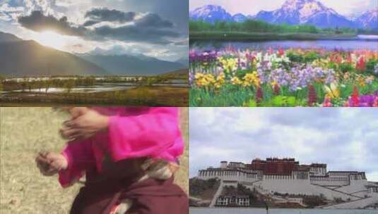 吉祥藏族舞蹈青藏高原led大屏幕视频素材高清在线视频素材下载