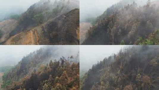 重庆山火后，北碚缙云山迎来降雨，云雾缭绕高清在线视频素材下载