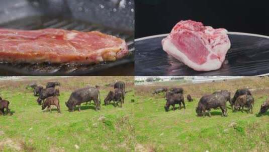 新鲜牛肉高清在线视频素材下载