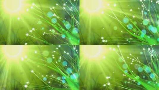 闪闪发光的夏日仙子绿色自然背景高清在线视频素材下载