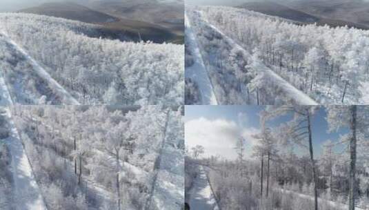 零下40度的低温航拍大兴安岭冰雪雾凇高清在线视频素材下载