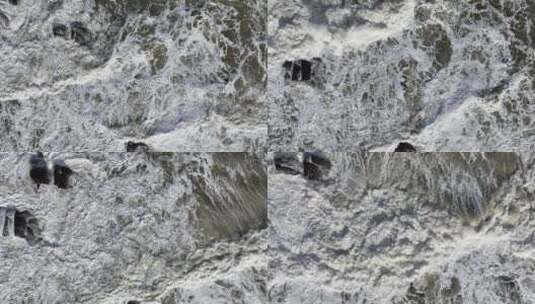 航拍俯瞰冬季大风的礁石海浪高清在线视频素材下载