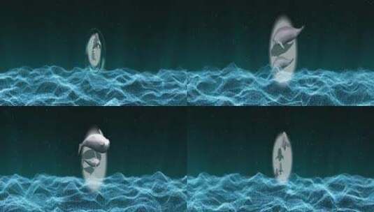 海底江豚海面波浪高清在线视频素材下载