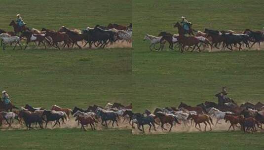 高清航拍草原马骑马一群马内蒙古高清在线视频素材下载