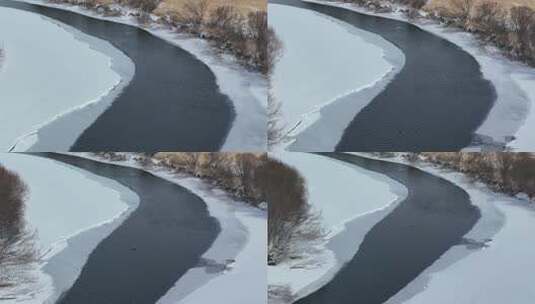 春天开河雪景冰河上游泳的水鸭子高清在线视频素材下载