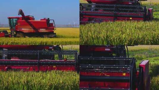 航拍大型收割机收割水稻高清在线视频素材下载