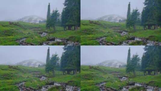 新疆那拉提草原雪山森林小溪绝美风光高清在线视频素材下载