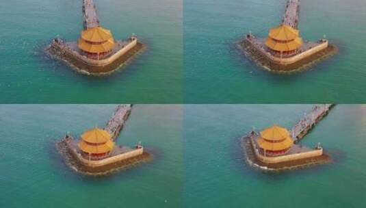 山东省青岛市栈桥海鸥航拍高清在线视频素材下载