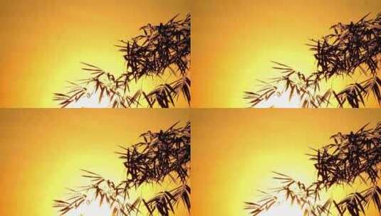 清晨日出时分竹枝竹叶的剪影高清在线视频素材下载