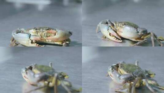 活体螃蟹高清在线视频素材下载
