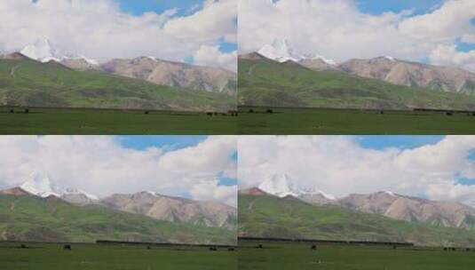 西藏那曲雪山脚下草原上青藏铁路驶过的列车高清在线视频素材下载