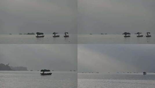清晨邛海湖面的渔船高清在线视频素材下载