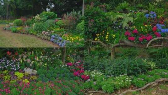 公园花园花坛花境高清在线视频素材下载