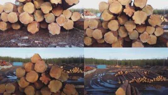 木材加工厂堆砌的木头高清在线视频素材下载