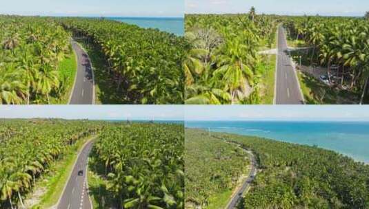 航拍汽车行驶在海南文昌东郊椰林美丽风景高清在线视频素材下载