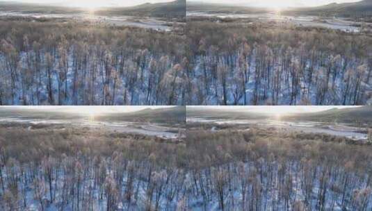 航拍雪原阳光树林雾凇高清在线视频素材下载