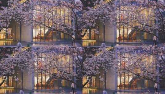 良渚艺术中心大屋顶樱花高清在线视频素材下载