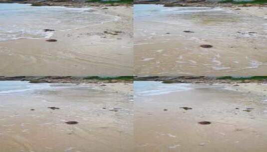 海南三亚海边沙滩海浪拍打礁石竖屏高清在线视频素材下载
