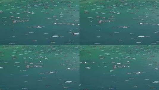 开渔季开渔节渔船出海捕捞航拍【4k】高清在线视频素材下载