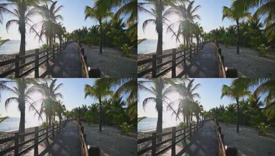 海南三亚大海黄昏椰树椰林沙滩木栈道风光高清在线视频素材下载