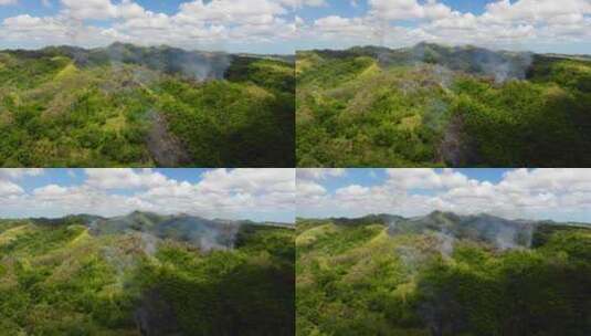 雨林中的森林火灾高清在线视频素材下载
