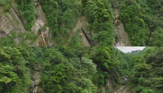 航拍都江堰龙池自然保护区瀑布山林风景高清在线视频素材下载