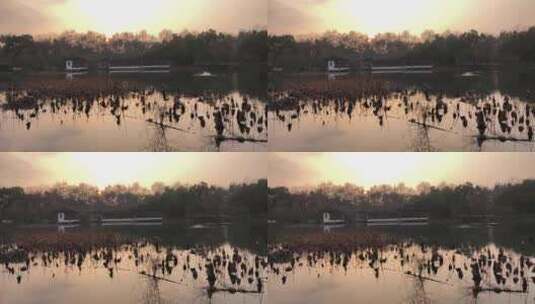 阳光和湖泊的景色高清在线视频素材下载