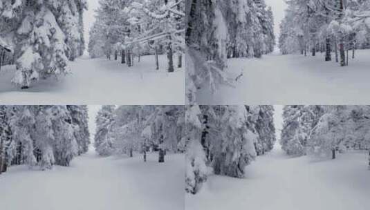 东北冬季户外冰雪森林厚厚积雪高清在线视频素材下载