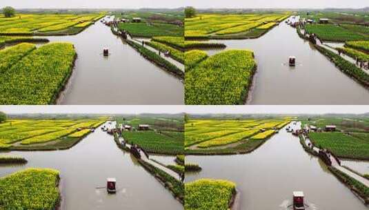 春天泰州兴化千垛油菜花航拍4K高清在线视频素材下载