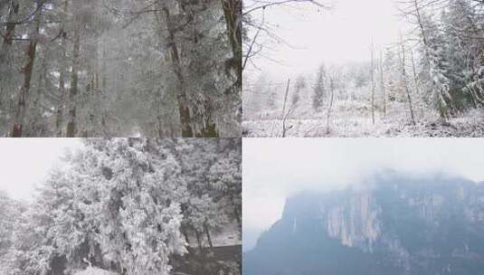 合集村庄冬天下雪雪花冬天下雪村庄雪景雪村高清在线视频素材下载