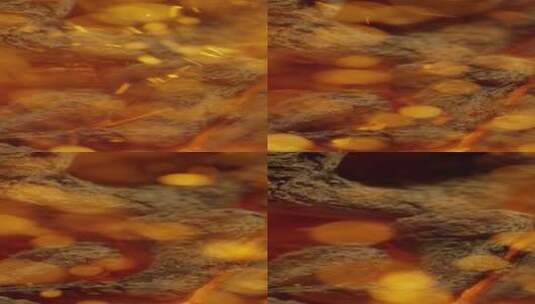2K竖屏燃烧的木炭飘出的火星高清在线视频素材下载